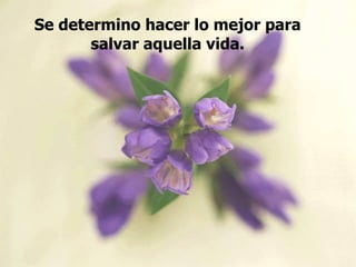 Se determino hacer lo mejor para
       salvar aquella vida.
 