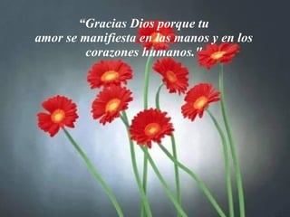 “ Gracias Dios porque tu amor se manifiesta en las manos y en los corazones humanos." 