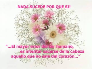 &quot;...El mayor error del ser humano,  es intentar sacarse de la cabeza aquello que no sale del corazón...&quot; NADA SUCEDE POR QUE SI! 