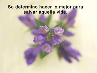 Se determino hacer lo mejor para
salvar aquella vida.

 