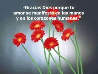 “Gracias Dios porque tu
amor se manifesto en las manos
y en los corazones humanos."

 