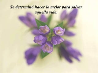 Se determinó hacer lo mejor para salvar
aquella vida.
 
