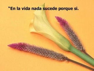 “ En la vida nada sucede porque si. 