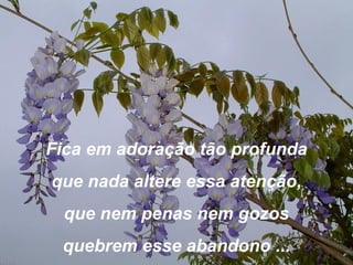 Fica em adoração tão profunda
que nada altere essa atenção,
que nem penas nem gozos
quebrem esse abandono ...
 