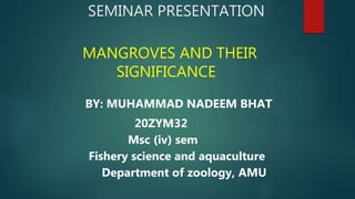 BY: MUHAMMAD NADEEM BHAT
20ZYM32
Msc (iv) sem
Fishery science and aquaculture
Department of zoology, AMU
SEMINAR PRESENTATION
MANGROVES AND THEIR
SIGNIFICANCE
 