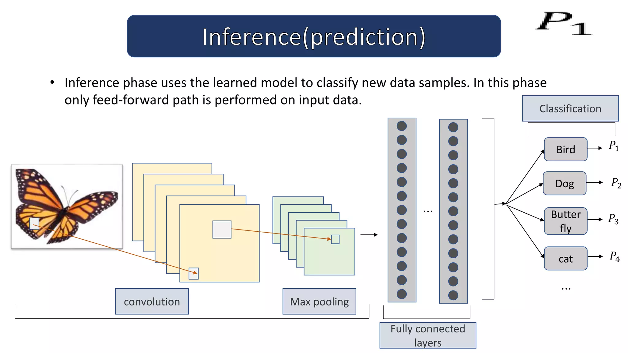 • Inference phase uses the learned model to classify new data samples. In this phase
only feed-forward path is performed on input data.
Max pooling
convolution
Fully connected
layers
⋯
Bird
Dog
Butter
fly
cat
⋯
𝑃1
𝑃2
𝑃3
𝑃4
Classification
 