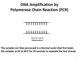 Nucleic acid detection Techniques | PPTX