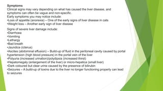 hepatobiliary diseases in felines | PPTX