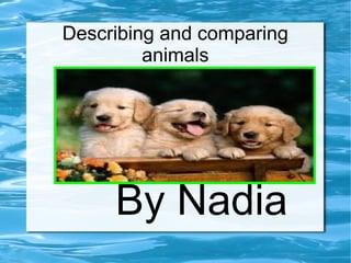 Describing and comparing
animals
By Nadia
 