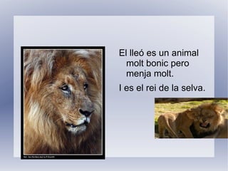 I no es amics de les persones  