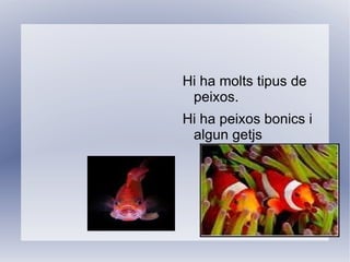 El elefant es molt gran. I es mamifer. 