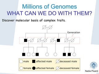 Nadia Pisanti
Millions of Genomes
WHAT CAN WE DO WITH THEM?
Discover molecular basis of complex traits.

 