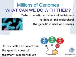 Nadia Pisanti
Millions of Genomes
WHAT CAN WE DO WITH THEM?
Detect genetic variations of individuals

to detect and understand 

the genetic causes of diseases









Or to check and understand

the genetic cause of 

traitment success/failure

 