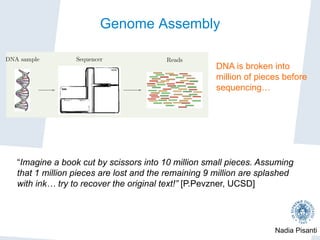 Nadia Pisanti
Genome Assembly
High-throughput sequencing (NGS)
DNA sample Sequencer Reads
DNA sample extract
fragmentation and ad
ligation;
ampliﬁcation and seq
The sequencing process
DNA is physically broken into millions of random fragments (inse
are replicated several times.
DNA sequencing machines “read” (usually from both ends) the se
the inserts and provide the so called (paired) reads.
Diﬀerent libraries available:
DNA is broken into
million of pieces before
sequencing…
“Imagine a book cut by scissors into 10 million small pieces. Assuming
that 1 million pieces are lost and the remaining 9 million are splashed
with ink… try to recover the original text!” [P.Pevzner, UCSD]
 