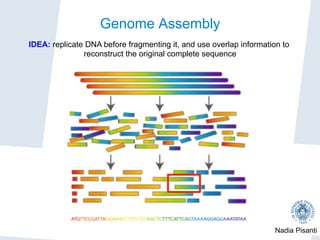 Nadia Pisanti
Genome Assembly
IDEA: replicate DNA before fragmenting it, and use overlap information to
reconstruct the original complete sequence
 