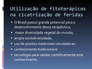 Utilização de fitoterápicos na cicatrização de feridas O Brasil possui grande potencial para o desenvolvimento dessa terapêutica,  maior diversidade vegetal do mundo,  ampla sociodiversidade,  uso de plantas medicinais vinculado ao conhecimento tradicional e  tecnologia para validar  cientificamente este conhecimento. 