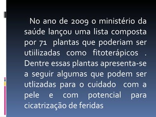 No ano de 2009 o ministério da saúde lançou uma lista composta por 71  plantas que poderiam ser utiilizadas como fitoterápicos . Dentre essas plantas apresenta-se a seguir algumas que podem ser utlizadas para o cuidado  com a pele e com potencial para cicatrização de feridas  