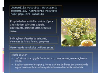 Chamomilla recutita, Matricaria chamomilla, Matricaria recutita nome popular: Camomila Modo de usar- Infusão – 10 a 15 g de flores em 1 L , compressas, maceração em vinho,  Loção- banho maria por 3  horas 1 xícara de flores em um copo de água, coar e aplicar sobre queimaduras e dermatite de fralda.. Propriedades- antiinflamatória  tópica, anti-séptico, calmante da pele, cicatrizante, protetor solar, sedativo suave. Indicações-   afecções  da pele, afta, dermatite de fralda, feridas, gengivites Parte  usada –capítulos de flores secas 