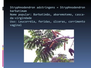 Stryphnodendron adstringens = Stryphnodendron barbatimam Nome popular: Barbatimão, abaremotemo, casca-da-virgindade Uso: Leucorréia, feridas, úlceras, corrimento vaginal 