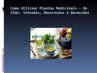 Como Utilizar Plantas Medicinais – Os Chás: Infusões, Macerações e Decocções 