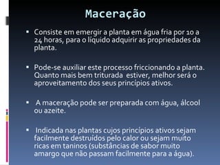 Maceração Consiste em emergir a planta em água fria por 10 a 24 horas, para o líquido adquirir as propriedades da planta.  Pode-se auxiliar este processo friccionando a planta. Quanto mais bem triturada  estiver, melhor será o aproveitamento dos seus princípios ativos. A maceração pode ser preparada com água, álcool ou azeite.  Indicada nas plantas cujos princípios ativos sejam facilmente destruídos pelo calor ou sejam muito ricas em taninos (substâncias de sabor muito amargo que não passam facilmente para a água). 