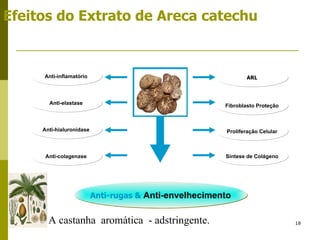 Efeitos do Extrato de Areca catechu Anti-hialuronidase Anti-colagenase Proliferação Celular ARL Anti-inflamatório Anti-elastase Anti-rugas &  Anti-envelhecimento Fibroblasto Proteção Síntese de Colágeno A castanha  aromática  - adstringente.  