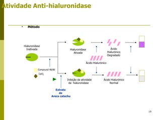 Atividade Anti-hialuronidase Método  Inibição da atividade da  hialuronidase Ácido Hialurönico  Normal  Extrato  de  Areca catechu Compound 48/80 CaCl 2 Ácido Hialurönico Hialuronidase Ativada Hialuronidase Inativada Ácido Hialurönico Degradado 