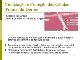 Vitalização e Proteção das Células-Tronco da Derme   Phytocell Tec Argan  Cultura de células tronco do Argan O ativo vetorizado no lipossoma alcançará a papila dermal através do caminho do folículo piloso  Aumenta a expressão Sox2 - fator de transcrição essencial para manter a auto-renovação de células indiferenciadas  Melhora o "stemness" (vitalidade da célula-tronco) Proteger e vitalizar as células-tronco humanas da derme 
