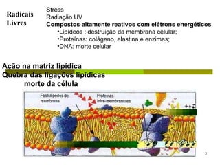 Ação na matriz lipídica Quebra das ligações lipídicas morte da célula   Stress Radiação UV Compostos altamente reativos com elétrons energéticos Lipídeos : destruição da membrana celular; Proteínas: colágeno, elastina e enzimas; DNA: morte celular Radicais Livres 