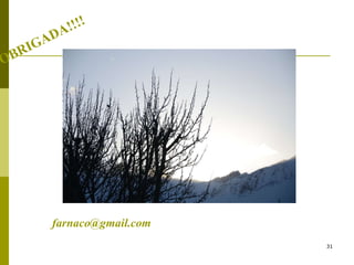 OBRIGADA!!!! [email_address]                                                            