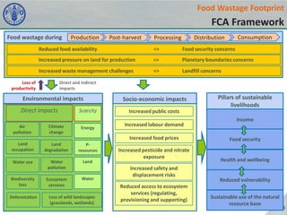 Food Wastage Footprint

FCA Framework
Food wastage during

Production

Post-harvest

Processing

Consumption

Distribution

Reduced food availability

=>

Food security concerns

Increased pressure on land for production

=>

Planetary boundaries concerns

Increased waste management challenges

=>

Landfill concerns

Loss of
productivity

Direct and indirect
impacts

Environmental impacts
Direct impacts
Air
pollution

Climate
change

Scarcity
Energy

Socio-economic impacts
Increased public costs
Increased labour demand
Increased food prices

Land
occupation

Land
degradation

Presources

Water use

Water
pollution

Land

Ecosystem
services

Water

Biodiversity
loss
Deforestation

Loss of wild landscapes
(grasslands, wetlands)

Pillars of sustainable
livelihoods

Increased pesticide and nitrate
exposure
Increased safety and
displacement risks
Reduced access to ecosystem
services (regulating,
provisioning and supporting)

Income

Food security

Health and wellbeing

Reduced vulnerability

Sustainable use of the natural
resource base

5

 