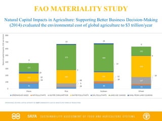 OPERATIONAL NATURAL CAPITAL INTENSITY OF CROP COMMODITIES (USD OF IMPACTS PER TONNE OF PRODUCTION)
Natural Capital Impacts in Agriculture: Supporting Better Business Decision-Making
(2014) evaluated the environmental cost of global agriculture to $3 trillion/year
FAO MATERIALITY STUDY
 