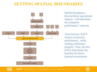 SETTING SPATIAL BOUNDARIES
Spatial boundaries -
beyond direct operational
impacts - will determine
the enterprise
performance’ outcome
Time horizon: SAFA
focuses on present
performance , while
seeking continuous
progress. Thus, the first
SAFA determines the
baseline for future
(annual) assessments
 