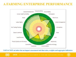 A FARMING ENTERPRISE PERFORMANCE
SAFA is NOT an index but an impact assessment tool that rates, weights and aggregate indicators
 