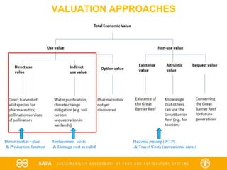 VALUATION APPROACHES
Direct market value Replacement costs Hedonic pricing (WTP)
& Production function & Damage cost avoided & Travel Costs (recreational areas)
 
