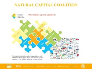 NATURAL CAPITAL COALITION
 