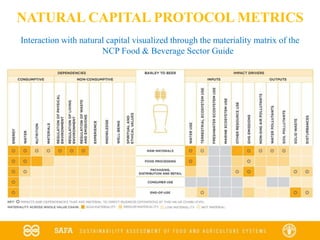 Interaction with natural capital visualized through the materiality matrix of the
NCP Food & Beverage Sector Guide
Source: Natural Capital Coalition Food and Beverage Sector Guide: Materiality Matrix for the value chain of barley used to produce beer
NATURAL CAPITAL PROTOCOL METRICS
 