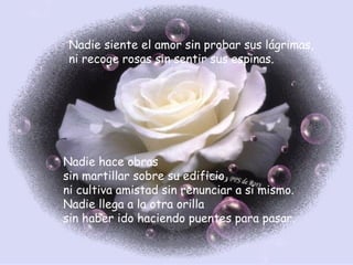 Nadie