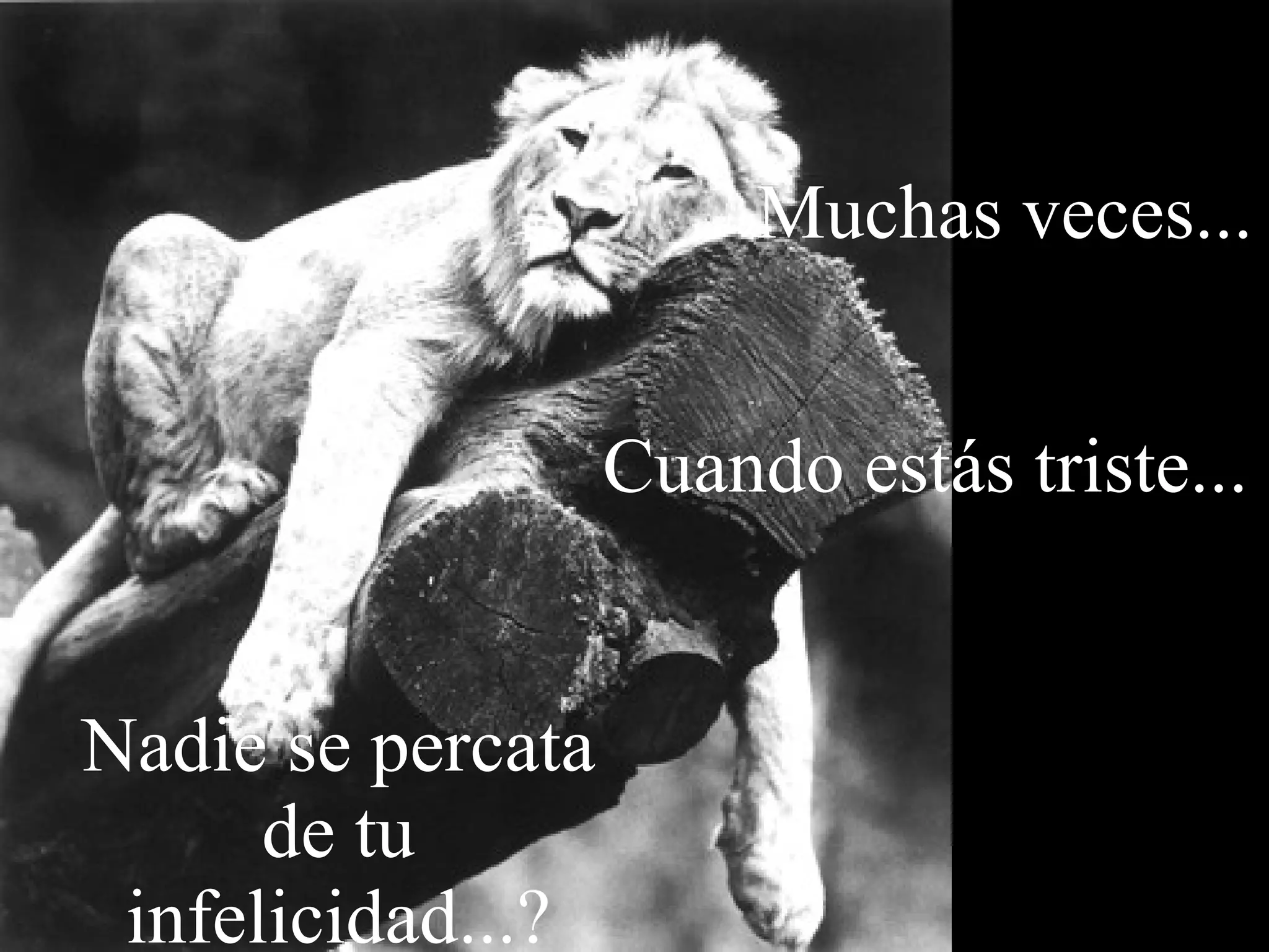 Muchas veces... Cuando estás triste... Nadie se percata de tu infelicidad...?