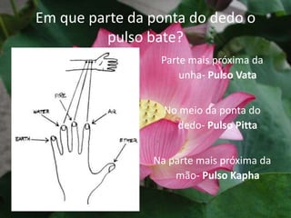 Em que parte da ponta do dedo o pulso bate?Parte mais próxima da unha-Pulso VataNo meio da ponta do dedo-Pulso PittaNa parte mais próxima da mão-Pulso Kapha