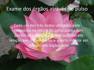 Exame dos órgãos através do pulsoCada um dos três dedos utilizados pelo terapeuta na leitura do pulso possui dois pontos de palpação, a parte superior em relação aos órgãos cheios e a parte inferior em relação aos órgãos ocos