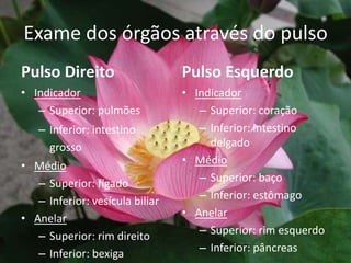 Exame dos órgãos através do pulsoPulso DireitoIndicador Superior: coração Inferior: intestino delgadoMédio Superior: baço Inferior: estômagoAnelar Superior: rim esquerdoInferior: pâncreasIndicador Superior: pulmões Inferior: intestino grossoMédio Superior: fígado Inferior: vesícula biliarAnelar Superior: rim direito Inferior: bexigaPulso Esquerdo