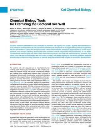 Review
Chemical Biology Tools
for Examining the Bacterial Cell Wall
Ashley R. Brown,1 Rebecca A. Gordon,2,3 Stephen N. Hyland,1 M. Sloan Siegrist,2,3 and Catherine L. Grimes1,4,*
1Department of Chemistry and Biochemistry, University of Delaware, Newark, DE 19716, USA
2Department of Microbiology, University of Massachusetts, Amherst, MA 01003-9298, USA
3Molecular and Cellular Biology Graduate Program, University of Massachusetts, Amherst 01003-9298, USA
4Department of Biological Sciences, University of Delaware, Newark, DE 19716, USA
*Correspondence: cgrimes@udel.edu
https://doi.org/10.1016/j.chembiol.2020.07.024
SUMMARY
Bacteria surround themselves with cell walls to maintain cell rigidity and protect against environmental in-
sults. Here we review chemical and biochemical techniques employed to study bacterial cell wall biogenesis.
Recent advances including the ability to isolate critical intermediates, metabolic approaches for probe incor-
poration, and isotopic labeling techniques have provided critical insight into the biochemistry of cell walls.
Fundamental manuscripts that have used these techniques to discover cell wall-interacting proteins, flip-
pases, and cell wall stoichiometry are discussed in detail. The review highlights that these powerful methods
and techniques have exciting potential to identify and characterize new targets for antibiotic development.
INTRODUCTION
The bacterial cell wall is arguably just as important to human
health as it is to the survival of the bacterium. The complex poly-
mers that comprise the cell wall provide bacteria with strength
and a barrier to the outside world, allowing them to thrive in a
multitude of environments, including the human body. Humans
have taken advantage of natural product antibiotics, often pro-
duced by bacteria themselves, to target bacterial polymers,
yielding some of the most widely used antibiotics to date (Cho-
pra and Roberts, 2001). In this review, we focus on understand-
ing the bacterial cell wall in the context of the threat that antibiotic
resistance poses to society. With the announcement that many
major pharmaceutical companies will no longer fund research
programs in this critical area (Hu, 2018), the onus falls on curious,
determined academics to identify new targets for antibiotics and
new opportunities to combat resistance. Here we highlight
recently reported chemical and biochemical approaches to
study bacterial cell wall biosynthesis and maintenance both in
the laboratory and in the clinic, focusing on the use of antibiotics.
In some cases, antibiotics are part of the toolkit that enables bio-
logical insight. In other cases, the biological insights gleaned
from applying the tools enable (or have the potential to enable)
target discovery. Studies of the bacterial cell wall and the antibi-
otics that corrupt it are iterative and promote both mechanistic
insights and translational applications.
THE TARGET AND ITS BASICS
Scientists have used small molecules to study bacteria since the
19th
century when Christian Gram treated cells with crystal violet
and realized that bacteria could be canonically divided into
two general classes: Gram-positive and Gram-negative
(Gram, 1884). In the present day, sophisticated tools exist to
visualize the cell wall and to dissect its composition and biosyn-
thesis at the molecular level (Hsu et al., 2019; Kocaoglu and Carl-
son, 2016; Radkov et al., 2018; Siegrist et al., 2015; Taguchi
et al., 2019a). Here we will review a subset of the new methods,
but first offer a brief introduction to cell walls, noting the many
recent, detailed reviews on these structures (e.g., Radkov
et al., 2018) and their biosynthesis and maintenance (Taguchi
et al., 2019a).
The bacterial cell envelope is a complex structure that pro-
vides protection from the external environment, maintains cell
shape, and provides resistance to chemical, physical, and bio-
logical damage (Figure 1A; Vollmer et al., 2008). Nearly all bacte-
rial envelopes have a peptidoglycan (PG) cell wall layer lying just
outside the plasma membrane. PG biosynthesis is a highly
conserved process in bacteria, starting with UDP-N-acetyl-
glucosamine (UDP-GlcNAc) conversion into UDP-N-acetyl-mur-
amic acid (UDP-MurNAc), as the first committed step in PG syn-
thesis (Figure 1B). The subsequent steps involve the addition of
amino acids (commonly L-Ala, D-g-Glu, L-Lys [Gram-positive] or
meso-diaminopimelic acid [mDAP; Gram-negative and myco-
bacteria], and D-Ala-D-Ala) to the UDP-MurNAc lactate moiety.
Variation exists within the stem peptide depending on species.
For example, Mycobacterium leprae can utilize Gly in place of
L-Ala at the one position (Draper et al., 1987), many Gram-posi-
tive bacteria and mycobacteria amidate the second position to
post-biosynthetically generate D-g-Gln, and spirochetes include
L-Orn at the third position (Schleifer and Kandler, 1972; Vollmer
et al., 2008). These and additional variations are highlighted in
Vollmer et al. (2008). Stem peptide ligation is followed by the
transfer of this PG building block to phosphate polyprenyl to
make Lipid I. GlcNAc is added to Lipid I to make Lipid II as the
final PG precursor. Lipid II is subsequently flipped across the
ll
1052 Cell Chemical Biology 27, August 20, 2020 ª 2020 Elsevier Ltd.
 