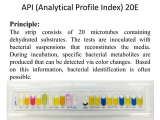 Salmonella Tphi | PPT