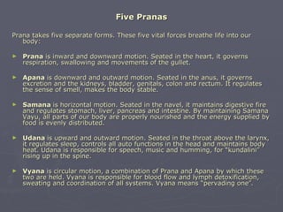 Five Pranas

Prana takes five separate forms. These five vital forces breathe life into our
   body:

►   Prana is inward and downward motion. Seated in the heart, it governs
    respiration, swallowing and movements of the gullet.

►   Apana is downward and outward motion. Seated in the anus, it governs
    excretion and the kidneys, bladder, genitals, colon and rectum. It regulates
    the sense of smell, makes the body stable.

►   Samana is horizontal motion. Seated in the navel, it maintains digestive fire
    and regulates stomach, liver, pancreas and intestine. By maintaining Samana
    Vayu, all parts of our body are properly nourished and the energy supplied by
    food is evenly distributed.

►   Udana is upward and outward motion. Seated in the throat above the larynx,
    it regulates sleep, controls all auto functions in the head and maintains body
    heat. Udana is responsible for speech, music and humming, for “kundalini”
    rising up in the spine.

►   Vyana is circular motion, a combination of Prana and Apana by which these
    two are held. Vyana is responsible for blood flow and lymph detoxification,
    sweating and coordination of all systems. Vyana means “pervading one”.
 