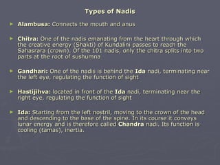Types of Nadis
►   Alambusa: Connects the mouth and anus

►   Chitra: One of the nadis emanating from the heart through wh...