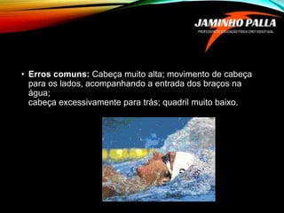 • Erros comuns: Cabeça muito alta; movimento de cabeça
para os lados, acompanhando a entrada dos braços na
água;
cabeça excessivamente para trás; quadril muito baixo.
 
