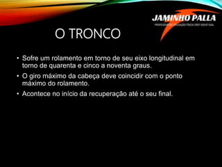 O TRONCO
• Sofre um rolamento em torno de seu eixo longitudinal em
torno de quarenta e cinco a noventa graus.
• O giro máximo da cabeça deve coincidir com o ponto
máximo do rolamento.
• Acontece no início da recuperação até o seu final.
 