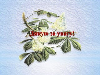 Дякую за увагу!
 