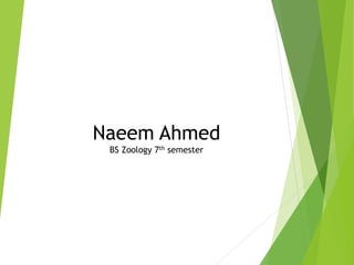 Naeem Ahmed
BS Zoology 7th semester
 